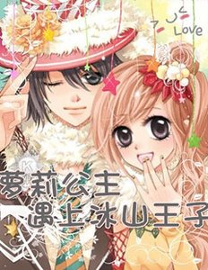 《萝莉公主遇上冰山王子》