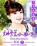 《灿烂小妻子》