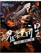 《魂帝觉醒》