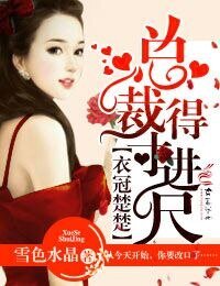 《衣冠楚楚,总裁得寸进尺》