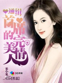 《通缉:首席的完美情人》