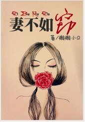 《妻不如窃》