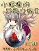 《小狐狸的异界之旅2》