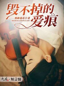 《毁不掉的爱痕》