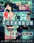 《爱,不过是游戏的点缀》