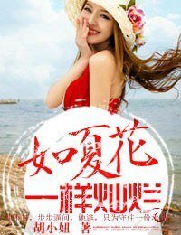 《如夏花一样灿烂》