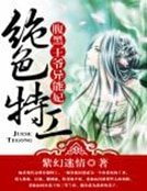 《绝色特工:腹黑王爷异能妃》
