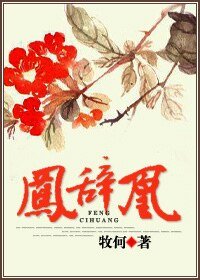 《凤辞凰》