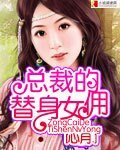 总裁的替身娇妻（又名：总裁的替身女佣）