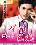 《戒掉无情总裁》