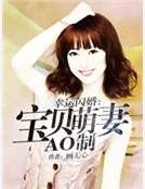 《幸运闪婚:宝贝萌妻AO制》