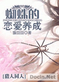 《(猎人同人)蜘蛛的恋爱养成》