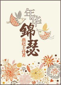 《年华锦瑟》