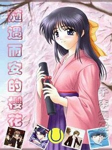 （网王同人）随遇而安的樱花