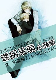 《诱拐呆萌小商贩》