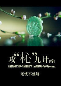 （综同人）[综]攻“杺”九计