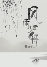 《风雨归舟》