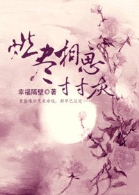 《燃尽相思寸寸灰》
