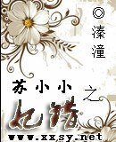 《苏小小之妃错》