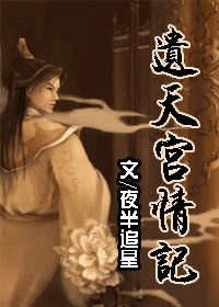 《遗天宫情记》