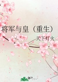 《将军与皇(重生)》