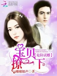 《危险试婚:宝贝,撩一下》