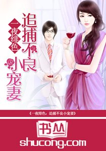 《一夜绯色:追捕不良小宠妻》