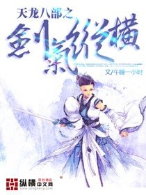 《(BG/天龙八部同人)剑气纵横》