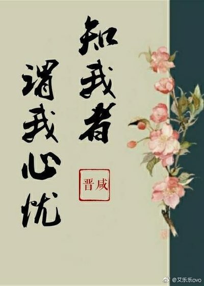 《知我者谓我心忧》