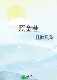 《照金巷》