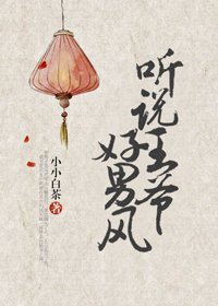 《听说王爷好男风》