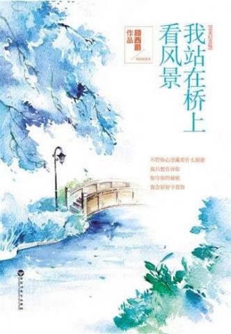 《我站在桥上看风景》