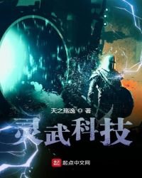 灵武科技