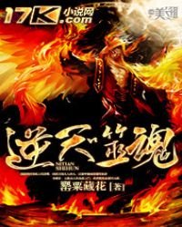 《逆天噬魂》