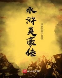 《水浒英豪传》