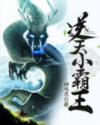 《逆天小霸王》