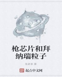 《枪,芯片和拜纳瑞粒子》