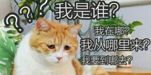 《杀手怂哒哒》