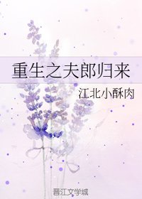 《重生之夫郎归来》
