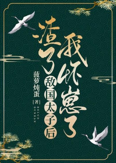 《渣了敌国太子后我怀崽了》