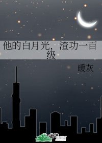 《他的白月光,渣功一百级》