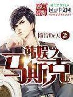 《韩娱之马斯克》