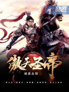 《傲天圣帝》