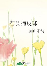 石头撞皮球