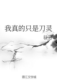 《(陈情令同人)我真的只是刀灵》