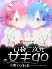 《口袋二次元女主go》