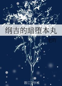《(家庭教师同人)纲吉的暗堕本丸》