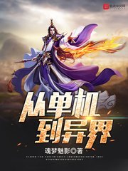 《从单机到异界》
