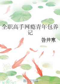 （BG/全职同人）全职高手网瘾青年包 养记