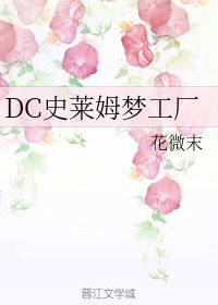 《(BG/综同人)DC史莱姆梦工厂》